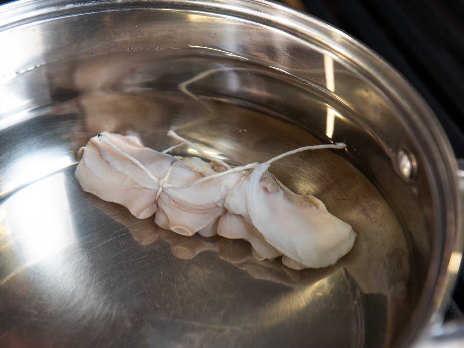 一锅冷水里的生章鱼触须;触须上系有绳子，用来区分同一锅中的不同测试变量。