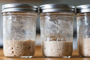 Bubbly sourdough starters in glass jam jars
