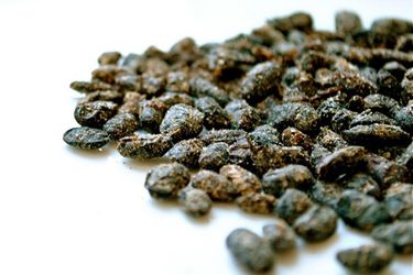 20101221 - 129671 -发酵-黑色- bean lead.jpg