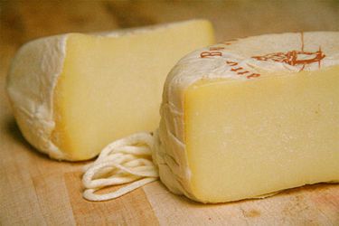 20090423 -吉娜cheese.jpg