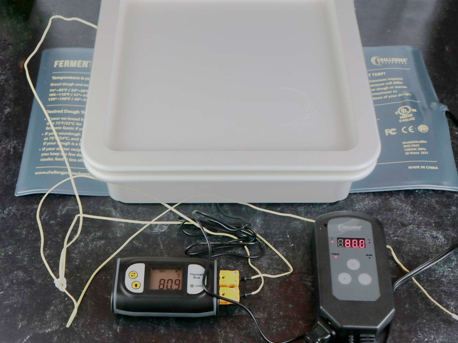 一个塑料盒子上有一个温度探头，显示里面的酸面团是华氏80.9度