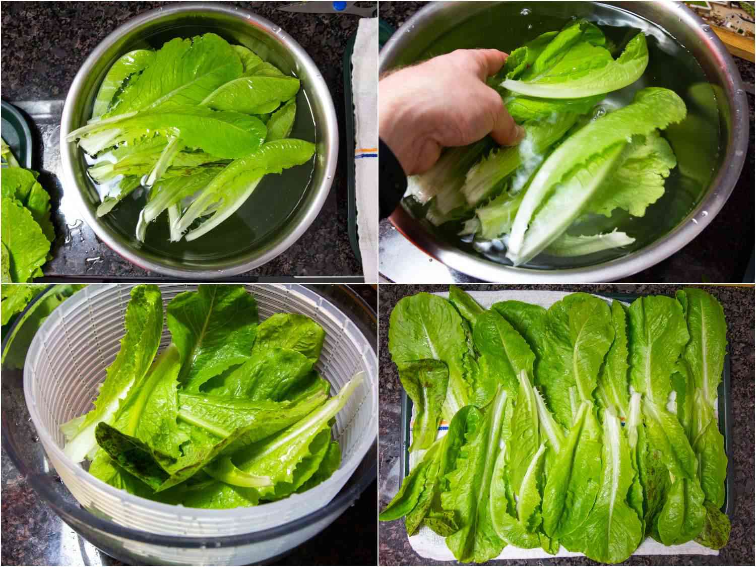 拼贴的洗涤和干燥生菜叶子。