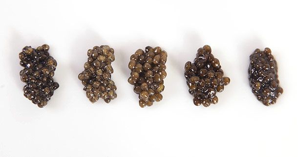 five different types of caviar lined up on white surface