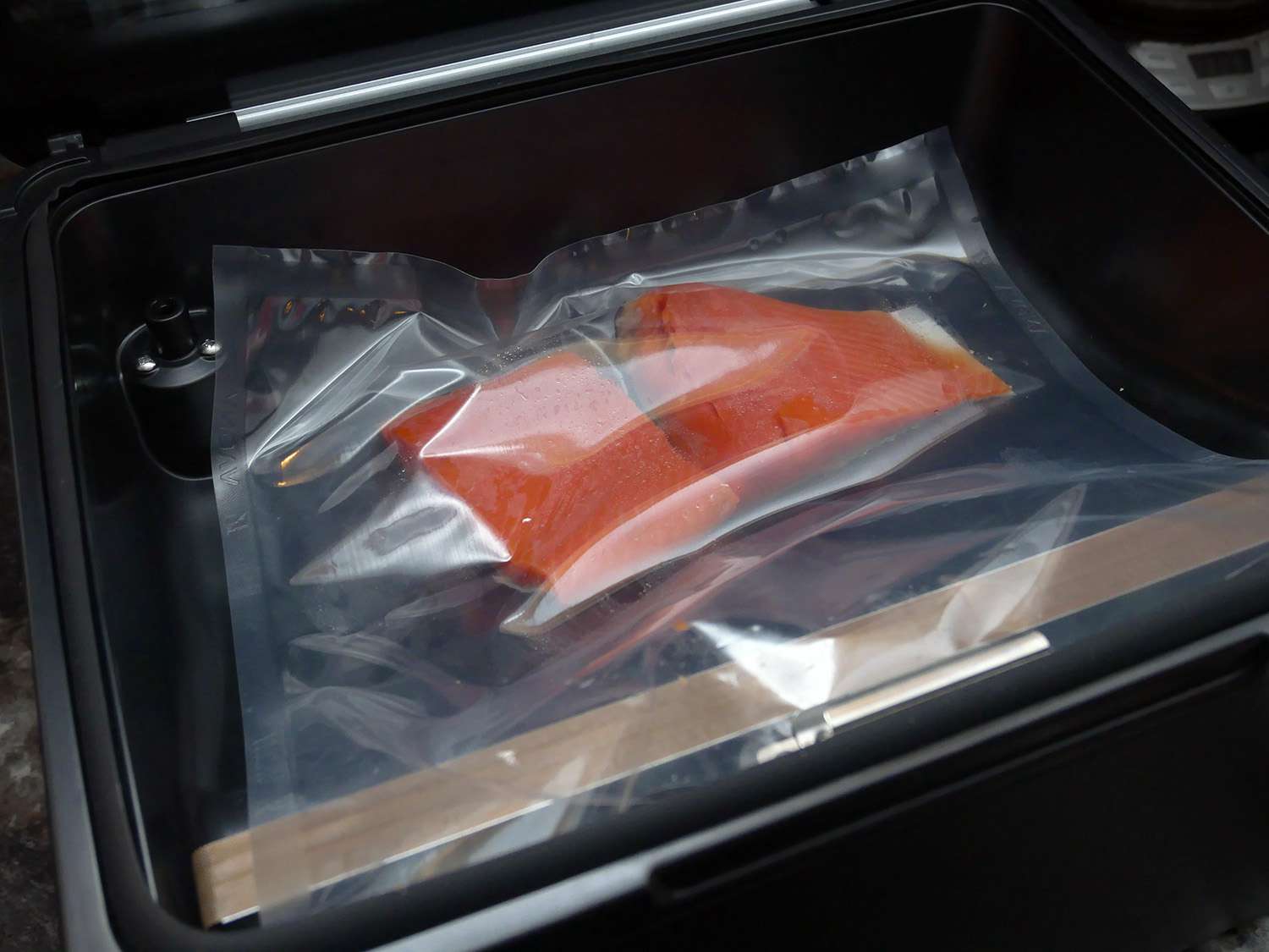 鲑鱼在塑料真空密封袋在anova室密封前密封