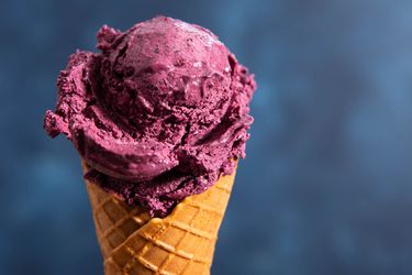20190523——不——生产——蓝莓冰淇淋-维姬-沃斯克- 12所示