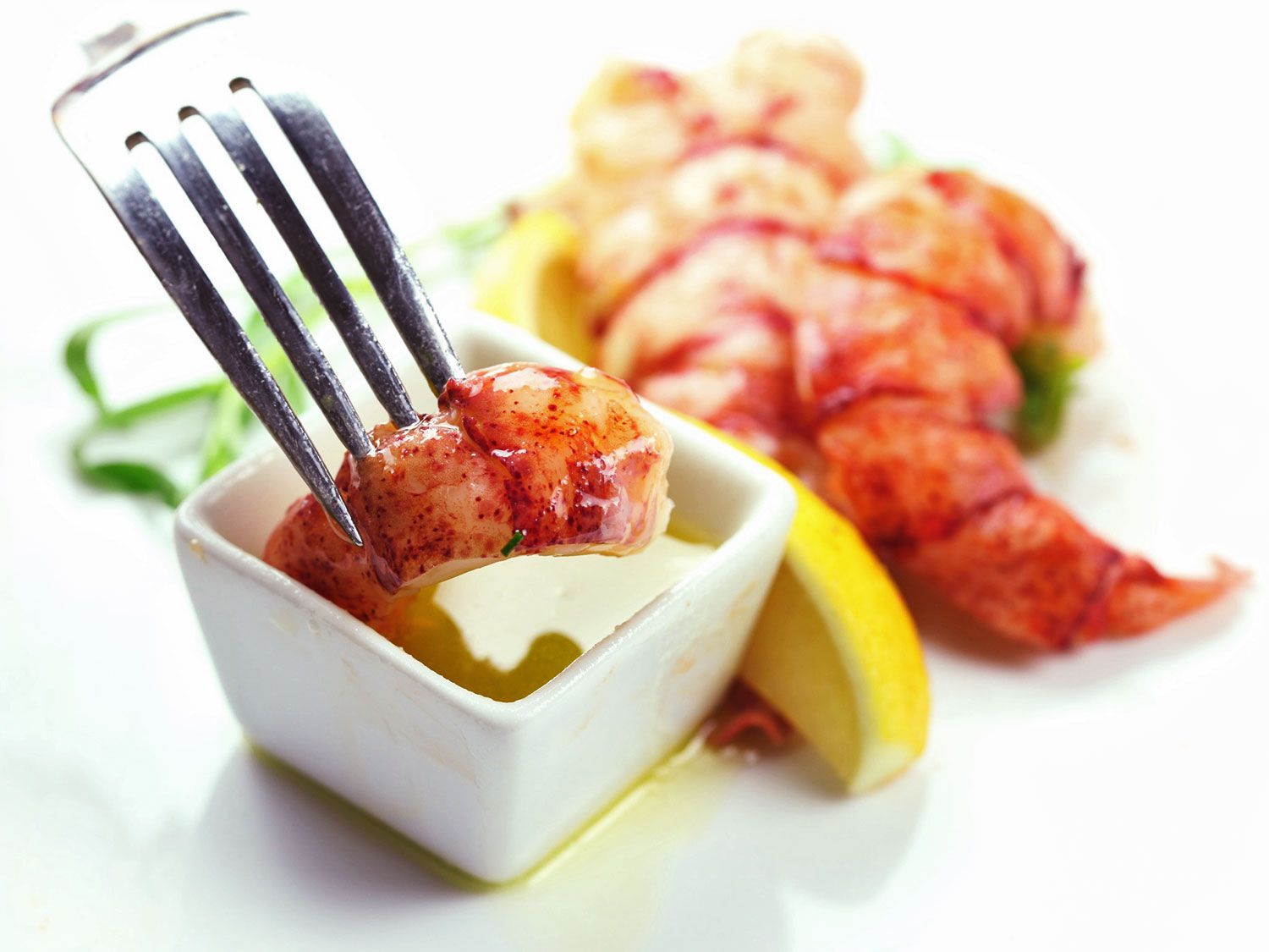 叉子上的龙虾蘸着融化的黄油。