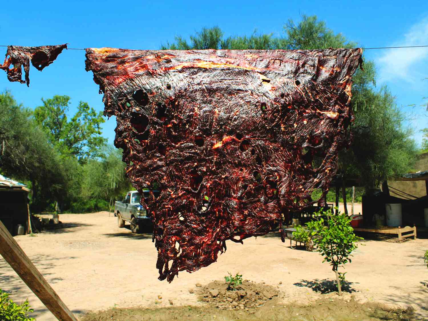 牛肉的pulpa挂在干燥的夏天强烈的太阳下晒干的牛肉