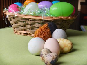 20140508 -亚洲-鸡蛋eggs2.jpg——复活节