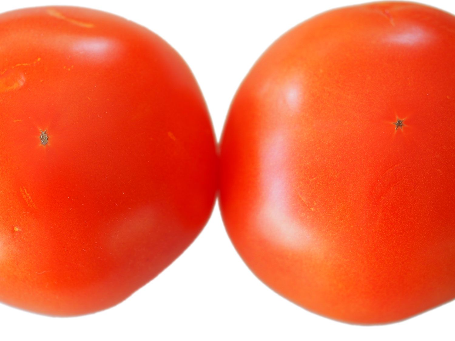 20140719 -番茄-测试-大-番茄gritzer.jpg——丹尼尔