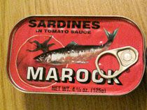 22100325——sardines1.jpg