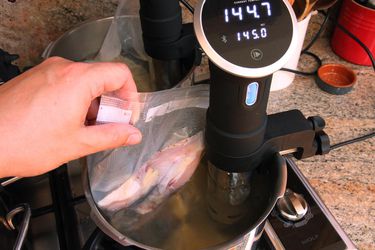 Lowering a bag of chicken into a sous vide machine to cook it
