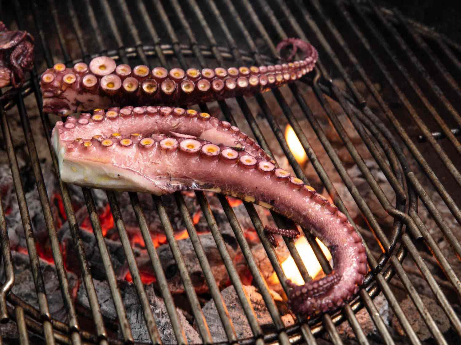 刚刚放在烤架上的章鱼触须，下面是发光的木炭