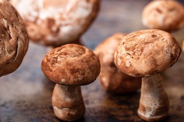 20191107-meringue-mushrooms-vicky-wasik-13