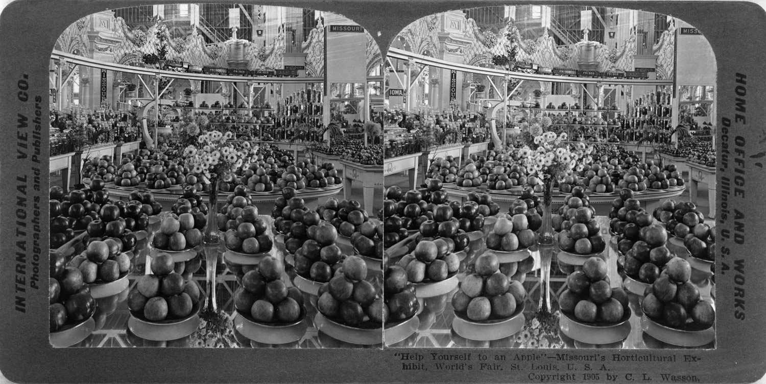 20151028 - 1904世界apples.jpg——公平