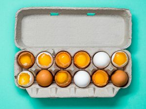 一个开放的盒一打鸡蛋。一些鸡蛋打开所以蛋黄是暴露。
