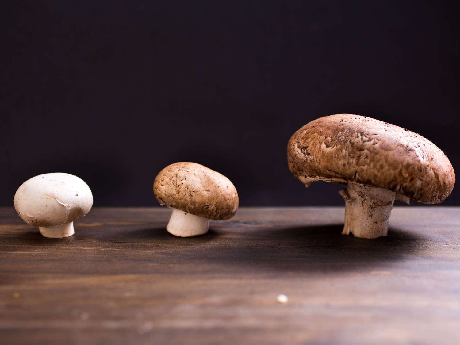 20150527 -蘑菇-指导-维姬-沃斯克- 5. - jpg
