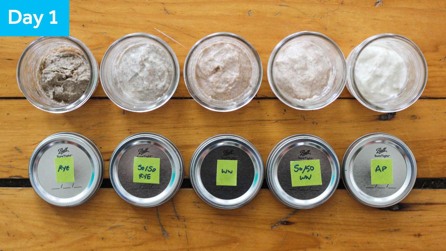 俯视着5酸酵示例的jar从1天以上