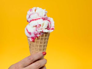 20180628 -山羊牛奶树莓-漩涡冰淇淋-维姬-韦斯基- 3所示