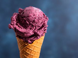 20190523——不——生产——蓝莓冰淇淋-维姬-沃斯克- 12所示