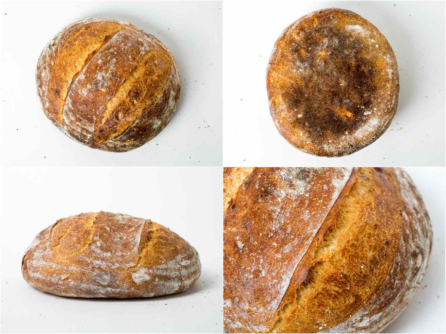 bread-autopsy-right-loaf.jpg