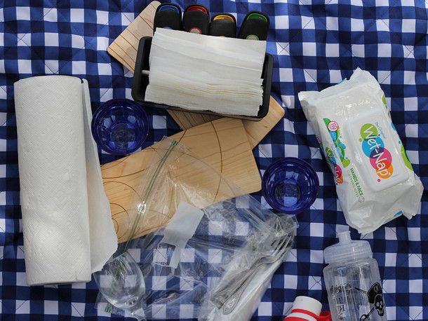 纸巾,纸巾,一揽子wet-naps、餐具,和小砧板上了蓝白相间的方格野餐毯子。