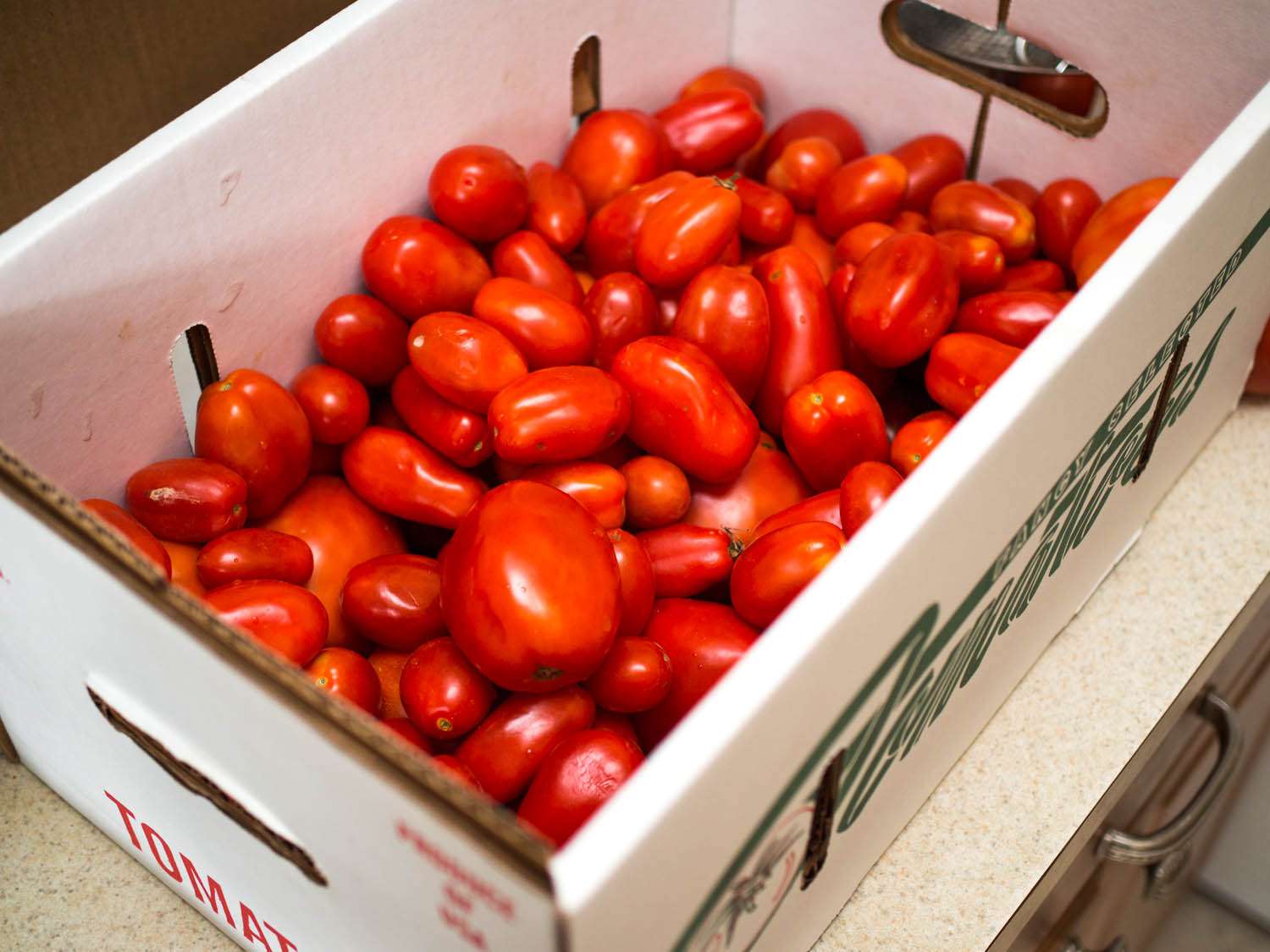 一纸箱的李子番茄