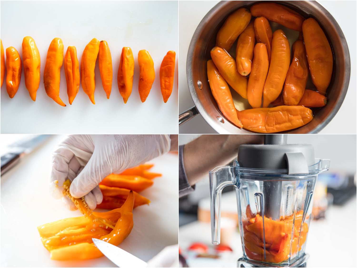 橙色阿吉阿马里洛辣椒被浸泡，种子，并在搅拌机打成泥拼贴