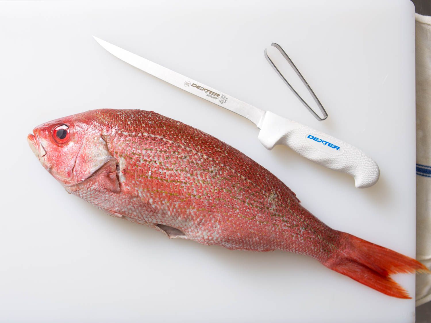 红鲷鱼和塑料菜板,切片刀。