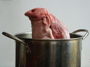 猪脑袋在锅里，猪鼻子朝上。