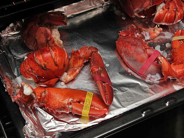 将蒸熟的龙虾放在锡箔衬里的烤盘上，放入烤箱