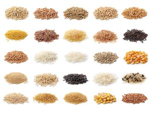 小成堆的25种不同的谷物等不同的一座教学楼,玉米、小麦浆果、小米等。