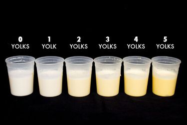一排六夸脱大小的熟食杯，每一个都盛着奶油和不同数量的蛋黄，从0个蛋黄到5个蛋黄不等。蛋黄越多，里面的液体越黄。