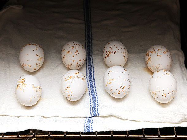 8个鸡蛋放在湿毛巾上放在烤箱里