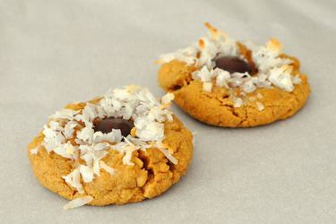 20120109 - cookiemonster peanutbuttercoconutcookies.jpg