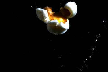20110221——现代主义popcorn.jpg——美食