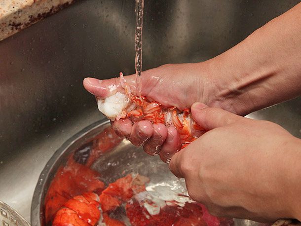 把煮熟的龙虾尾放在自来水下挤一挤，下面的金属碗里盛着其他龙虾部位和水