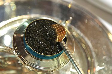 20130130-petrossian-caviar-taste-test-05.jpg