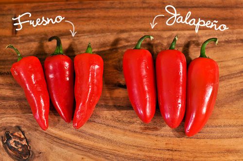 弗雷斯诺辣椒和墨西哥辣椒的对比。
