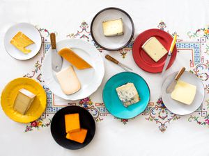 各种各样的奶酪，每一种都放在一个单独的盘子里，还有奶酪刀。