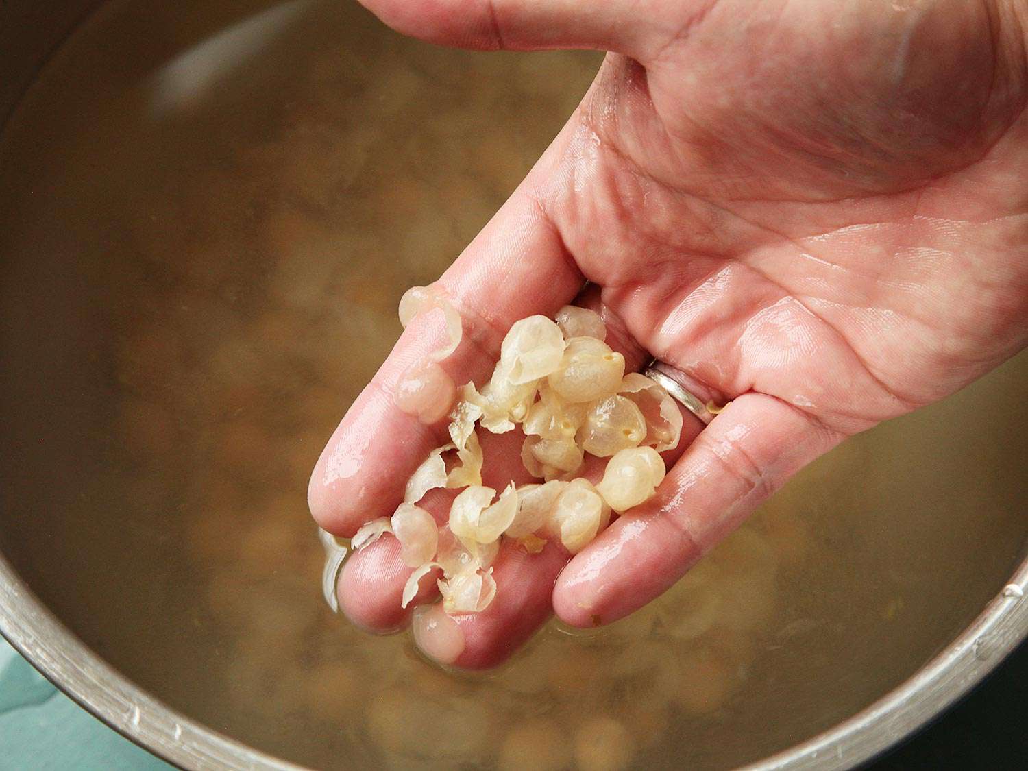 一只手拿着纸质鹰嘴豆皮，上面是一碗浸泡在水里的鹰嘴豆