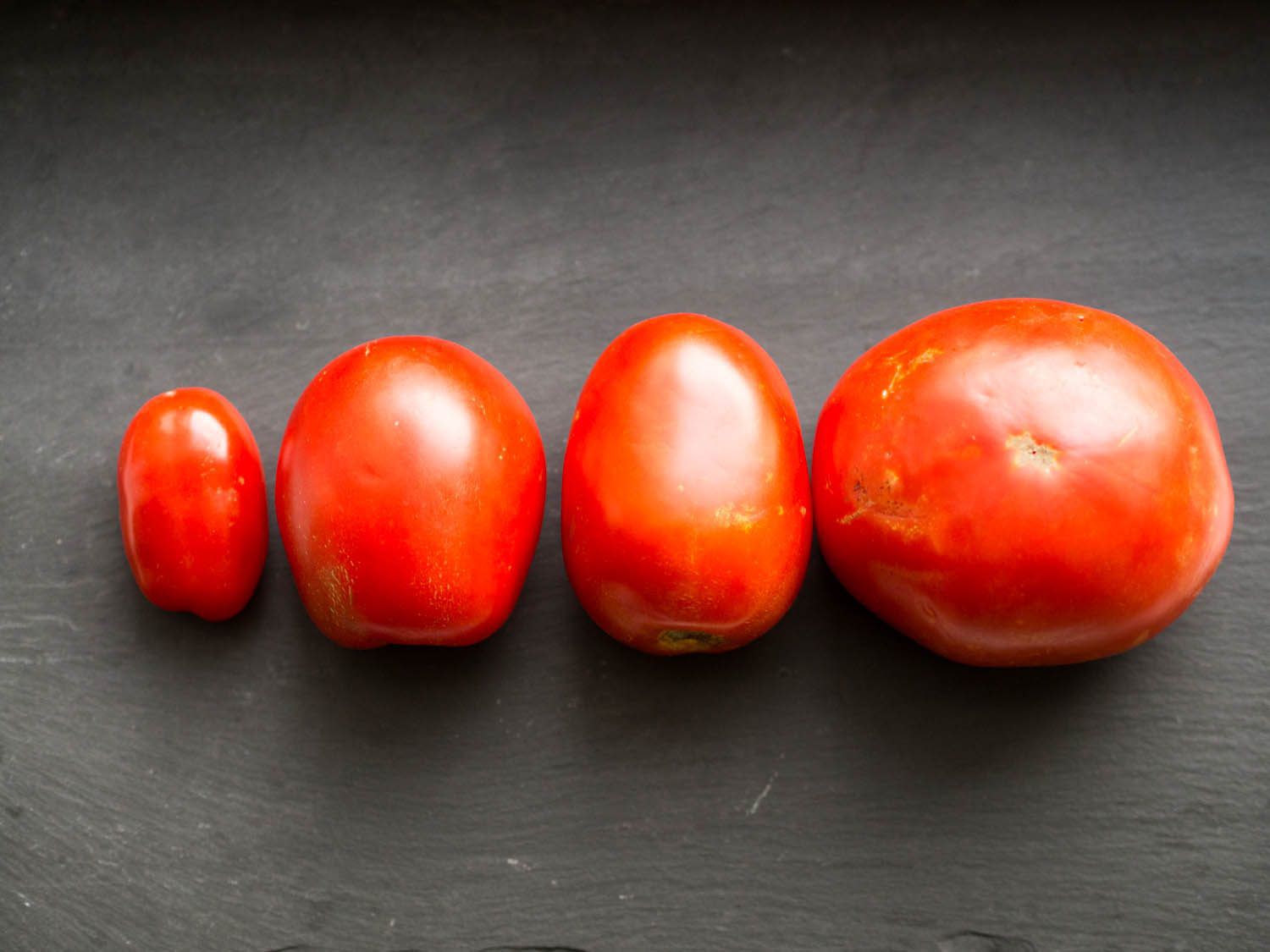 不同品种的新鲜西红柿