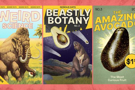 三个杂志封面描绘鳄梨浆科幻的方式完成的