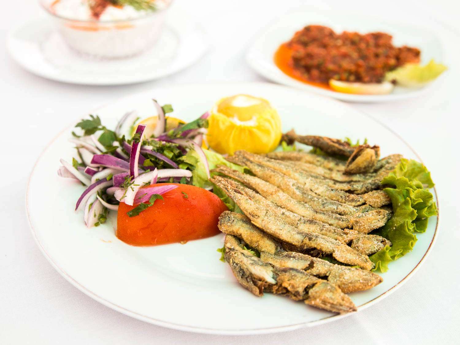 20150703 -泻湖-土耳其餐厅-拉比abonour - 1. - jpg