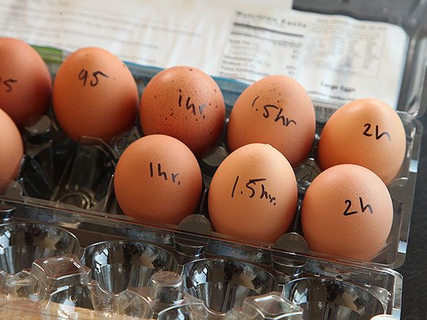 鸡蛋煮熟的真空,仍在外壳,根据烹饪时间安排在装鸡蛋的盒子