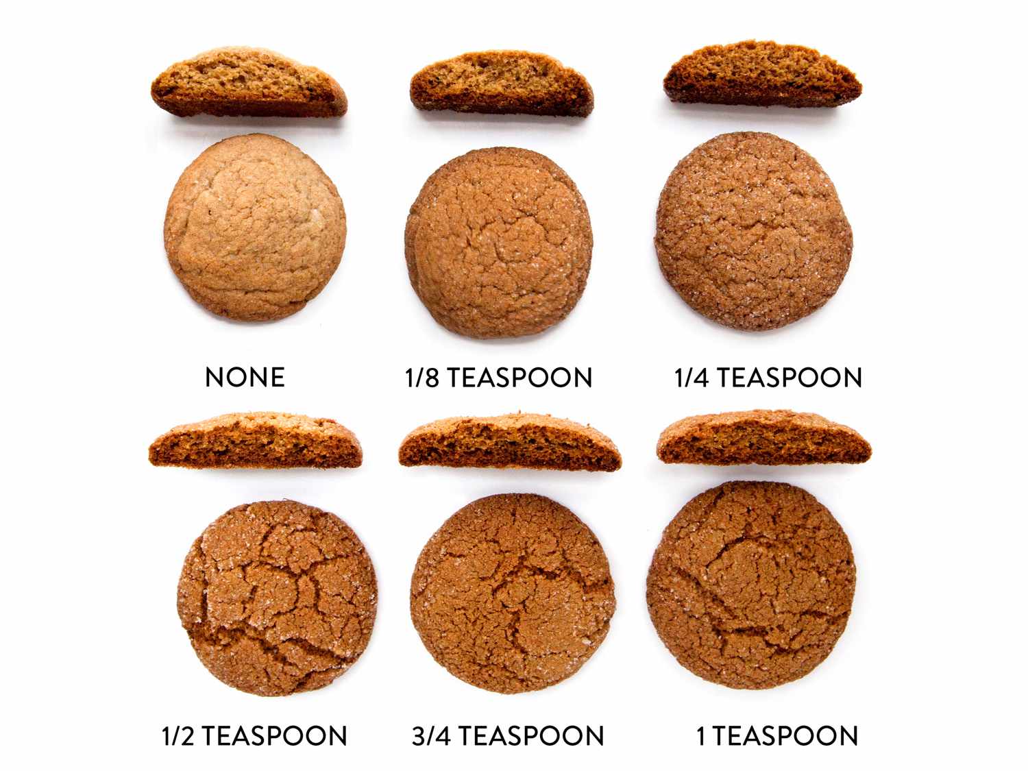 20151028 -不-标题cookie -常见问题-烘焙苏打-一个姜饼-莎拉-简-桑德斯edit.jpg
