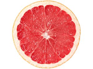 20131212 grapefruitside.jpg