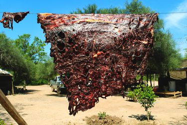 牛肉“pulpa”被悬挂在强烈的夏日阳光下晾干，以制作charquigydF4y2Ba