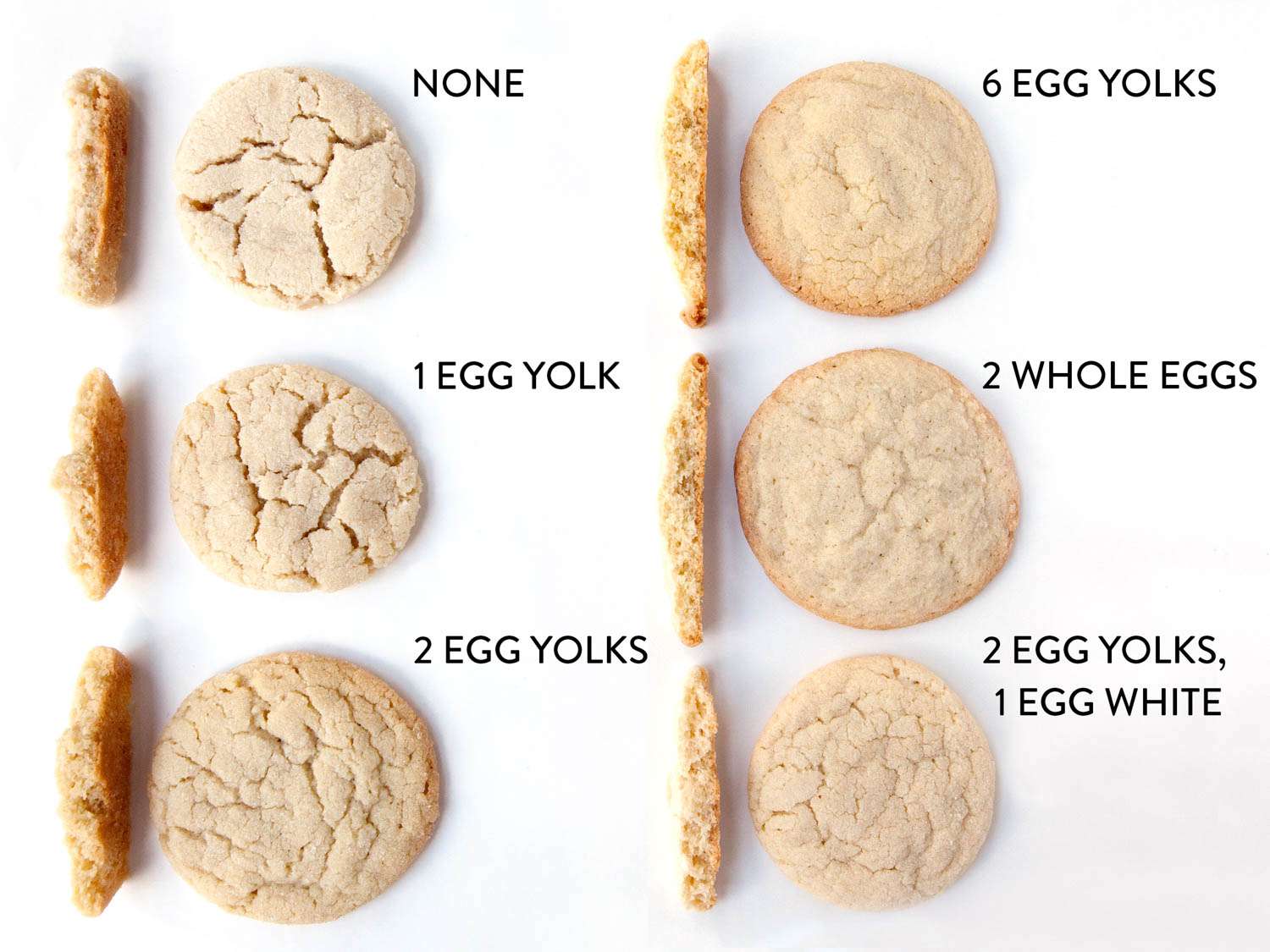 20151028 -不-标题cookie -常见问题-鸡蛋,蛋黄edit.jpg——莎拉-简-桑德斯