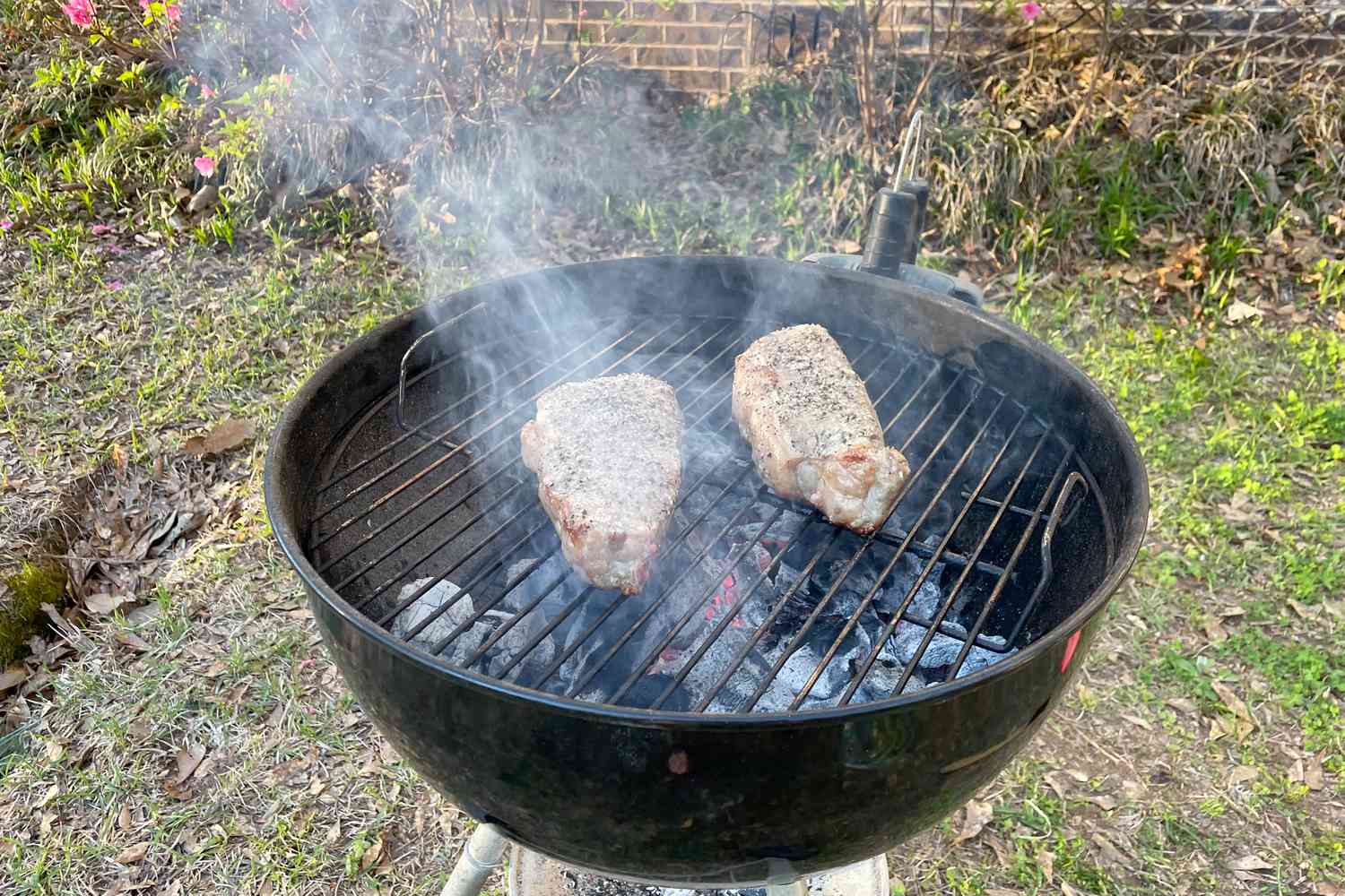 two steaks cooking on a charcoal grill