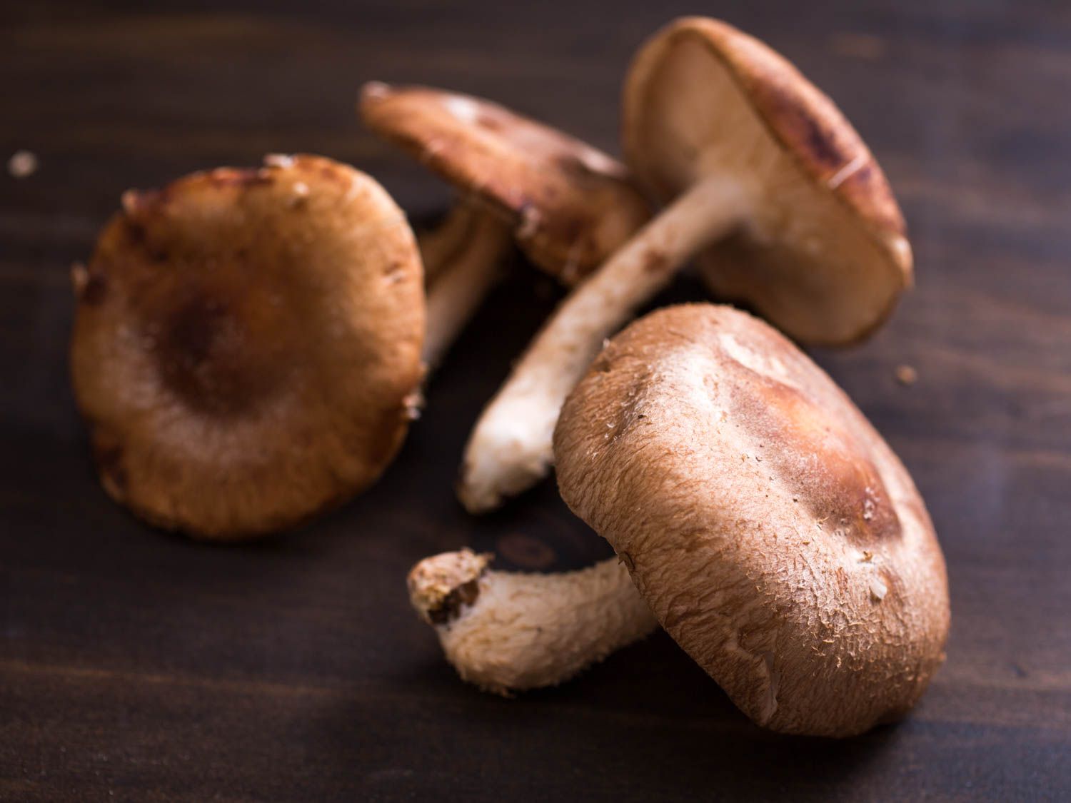 20150527——蘑菇,香菇,指导-维姬-沃斯克- 1. - jpg
